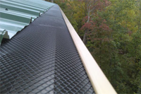 AlexSeamlessGutters_Products_LeafGuards